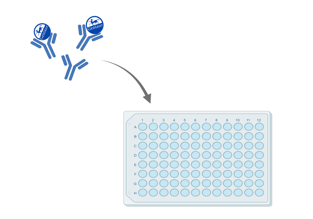 ELISA   4-Strip PCR Tubes and Caps for Corbett Rotor-Gene™