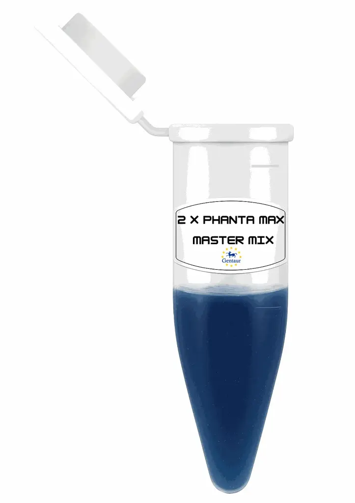  2X Phanta Max Master Mix - 1mL