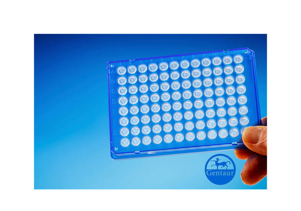 ELISA   ABCC2 Antibody, Biotin  
